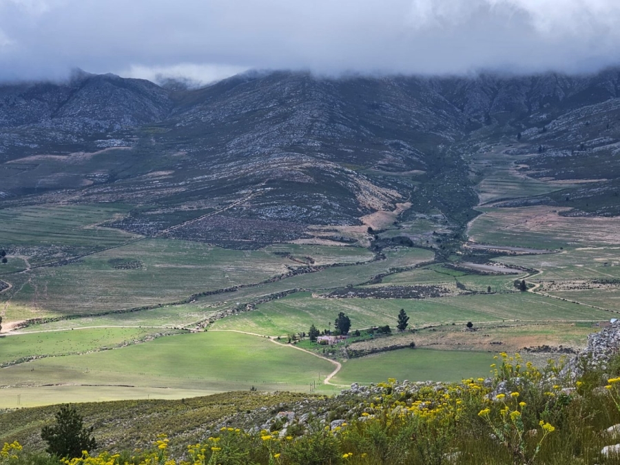 Commercial Property for Sale in Avontuur Western Cape